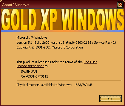 File:XP Gold XP 2009 Winver.png