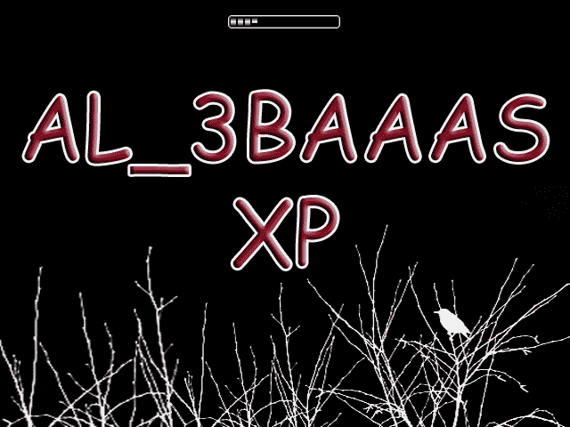 File:XP AL 3BAAAS XP Boot.png