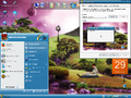 "Internet Explorer 7" theme