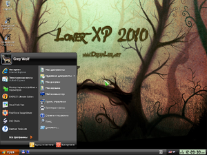 LonerXP2010 Zune Theme.png