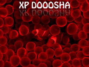 XP Doosha 2010 Edition Autorun Background.jpg