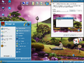 "Internet Explorer 7" theme