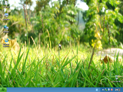 The desktop of Windows XC 2011