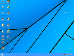 The desktop of XP 10 Edition