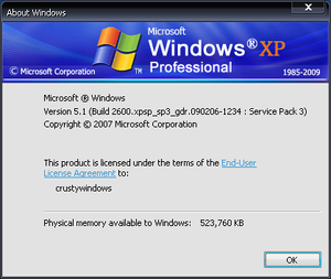 XP OZZIEXP09 Winver.png