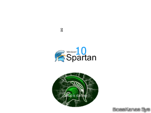 W10 Spartan 2015 Setup - Starting.png