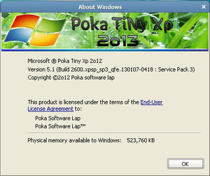 XP Poka Tiny Xp 2013 Final Winver.png
