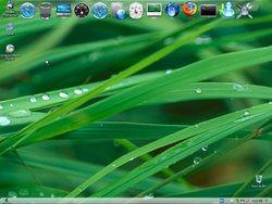 The desktop of Windows XP OSX Leopard
