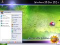 Regular start menu ("Windows XP Coccinelle" theme)