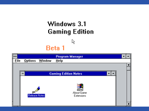 W31 GamingEdition Desktop.png
