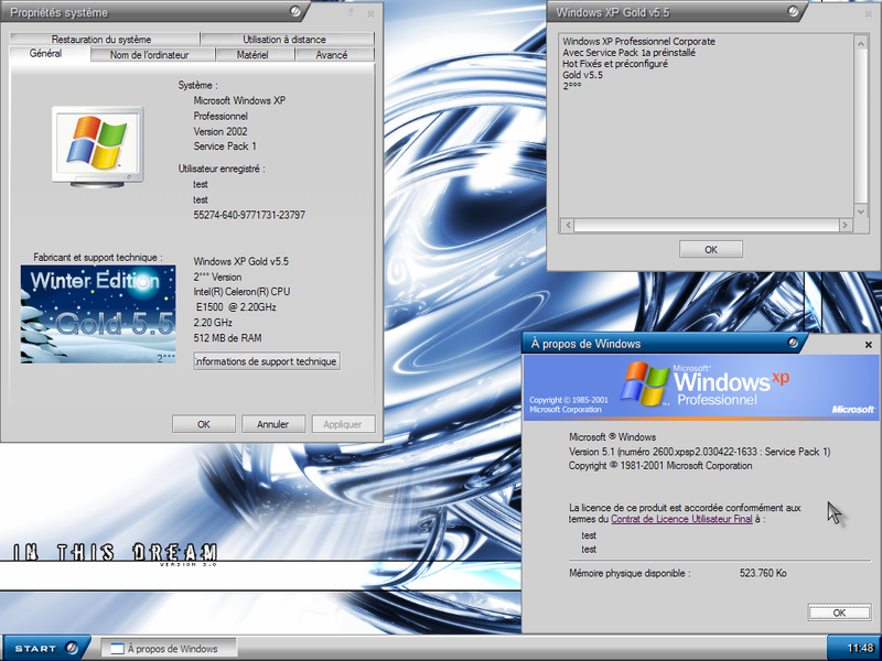File:XP Gold 5.5 Demo.png