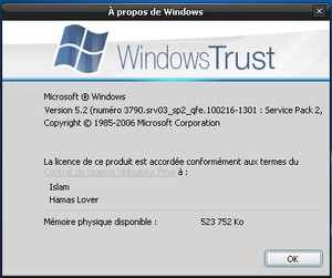 XP Trust 4.5 Winver.png