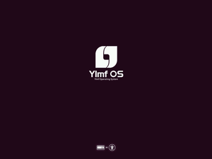 YLMF OS 3.0 PreSetup.png