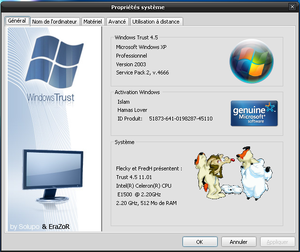 XP Trust 4.5 SysDM.png