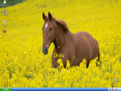 The desktop of Windows Horse XP 2013