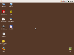 The desktop of Windows Ubuntu Xp