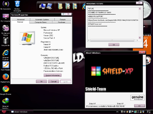 Shield XP Demo2.png