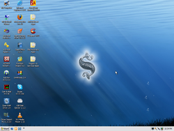 The desktop of Windows XP Live! December 2010