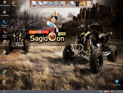 The desktop of Windows Sagidoon XP 2011