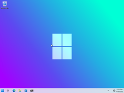 The desktop of Windows Sun Valley Professional