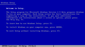 Windows29-Setup1.png