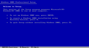 Windows 2002 Pre-installation.png