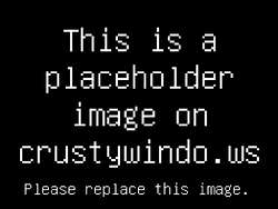 The desktop of PlaceholderOS