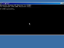 The desktop of a PicoXP live install
