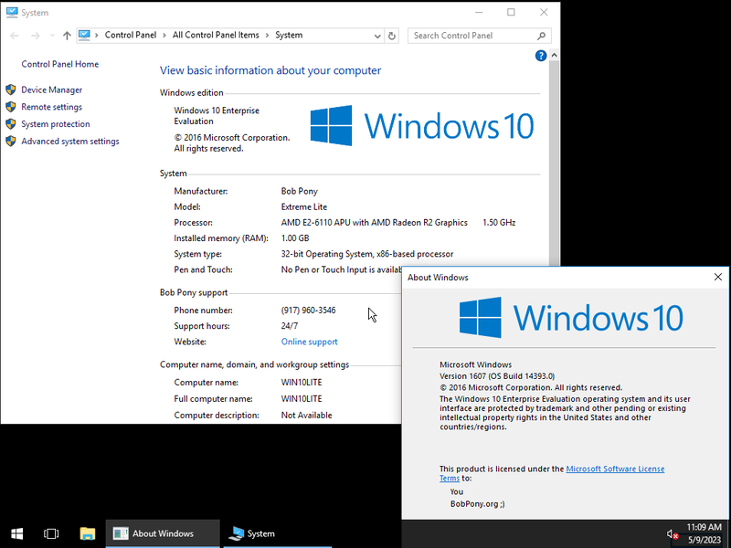 File:W10 Extreme Lite Demo.png