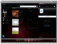 Windows Media Player